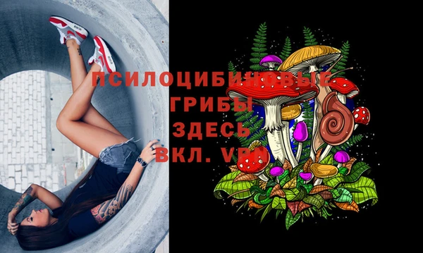 мескалин Нефтекумск