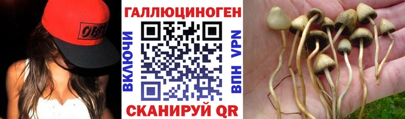 наркошоп  Абдулино  Псилоцибиновые грибы Magic Shrooms 